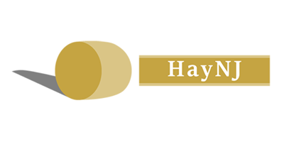 HayNJ.com screenshot